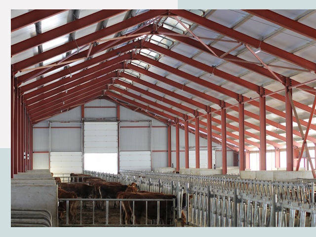 Строительство коровников в Кинели