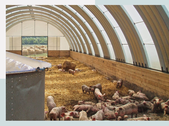 Строительство свинарников в Кинели