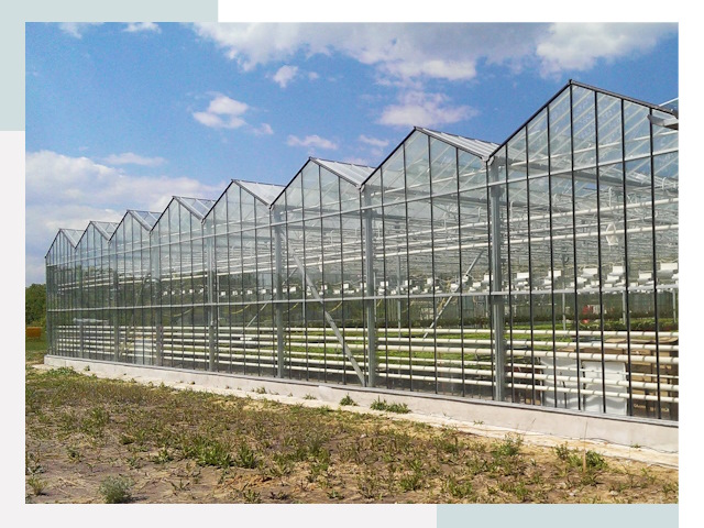 Строительство теплиц в Кинель от 611 руб. за м²