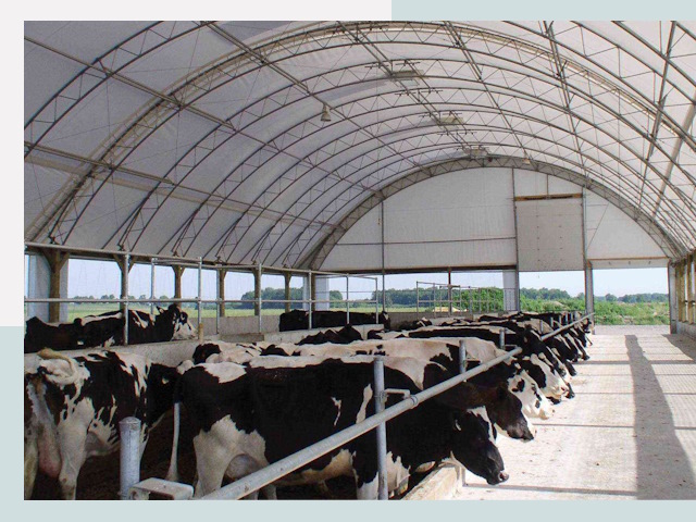 Тентовые коровники в Кинели